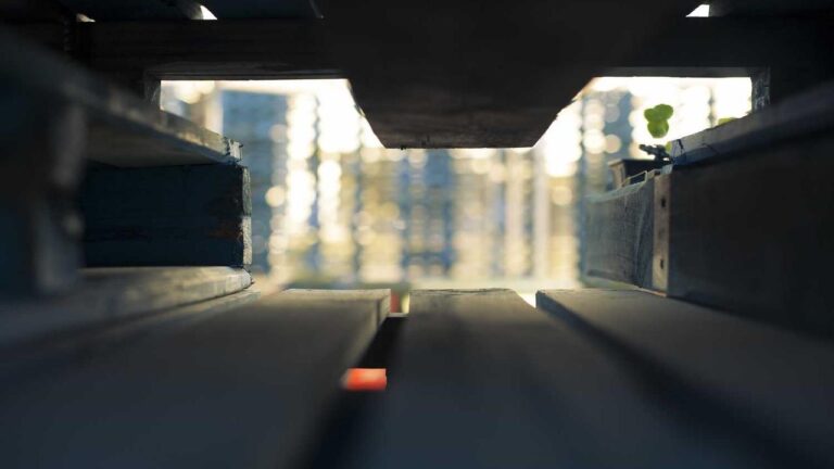 What Are The Steps To Safely Complete The 11Xplay Online Id Login App Download?