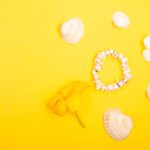 Reddybook Review: How This Platform Enhances Learning and Leverages 11xplay Integration